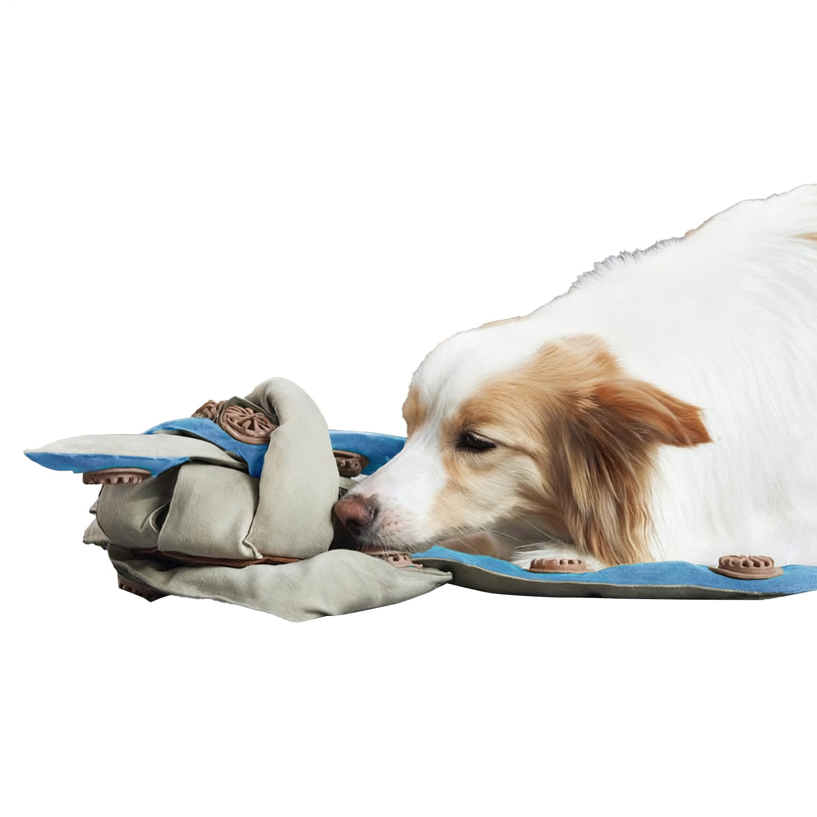 Accessoire pour animal destructeur : stopper les morsures sur les meubles