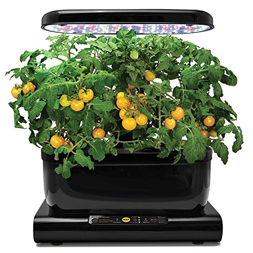 Aerogarden Golden Harvest Cherry Tomato Seed Pod Kit #TOP4