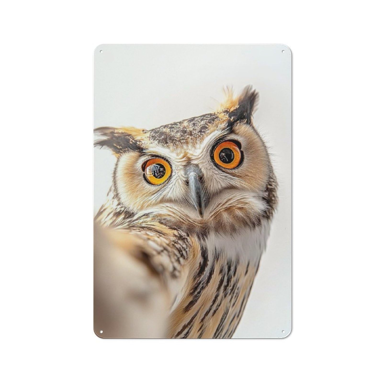 Junmoney Owl Selfie Printed Metal Sign 30X20cm For Guest Room Or Hallway, Suited To Home Decor Collectors