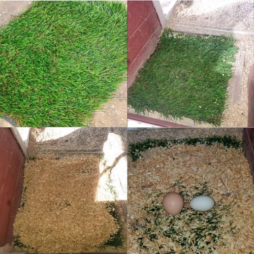 Image of 8PCS Chicken Nesting Pads for Laying Eggs,Washable Nest Box Pads Reusable Grass Mat Green Artificial Chicken Coop Liner Bedding for Hen,Chick,Duck