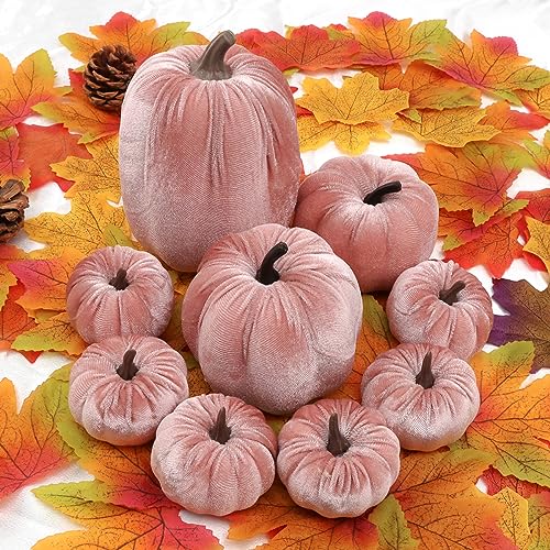 9Pcs-Pink-Faux-Assorted-Velvet-Pumpkins-Decorations-Artificial-Fabric-Pumpkin-Foam-Fall-Wedding-Halloween-Home-Decor-Thanksgiving-Farmhouse 9Pcs Pink Faux Assorted Velvet Pumpkins Decorations Artificial Fabric Pumpkin Foam Fall Wedding Halloween Home Decor Thanksgiving Farmhouse