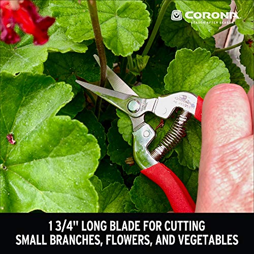 Corona AG 4930SS Long Straight, Stainless Steel Snip