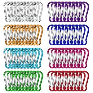 Dadabig 80 Stück Karabiner Schlüsselanhänger Mini