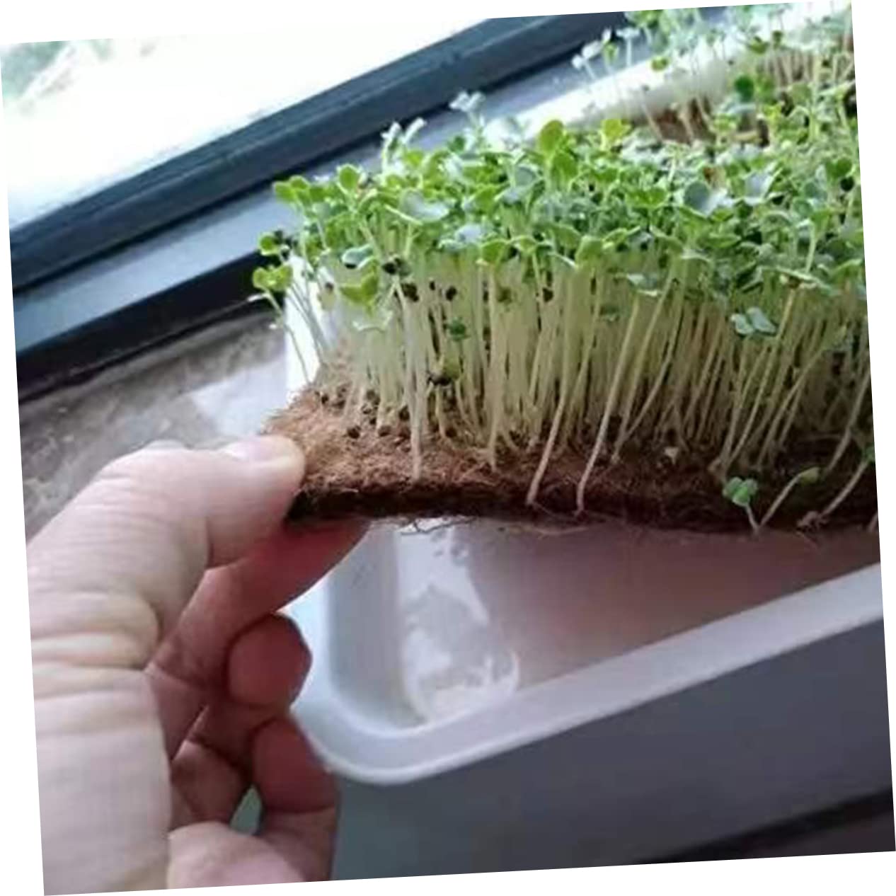 MAZE RSI Worm Farm with Sifter, 2 Working Trays, Black & Green, Metal, 16'Wx16'Hx16'D, No Assembly Required, 1 Year Warranty