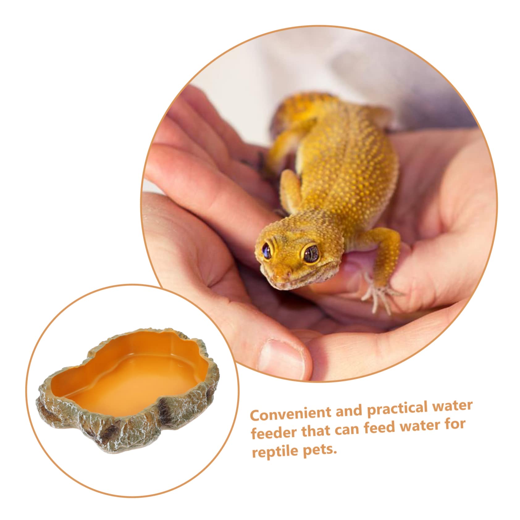 BESPORTBLE 3piezas Tazón De Alimentación para Reptiles Cuenco De Agua para Tortugas Decoración De Terrario Comedero para y para Reptiles y Anfibios