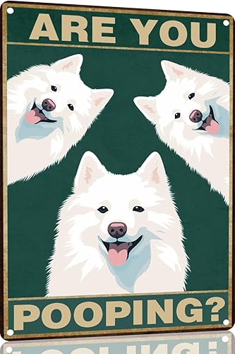 Vista 48 de Bichon Frise Dog - Cartel de 12 x 16 pulgadas con texto en inglés "Are You Pooping" para decoración de baño, póster de metal para perro amante