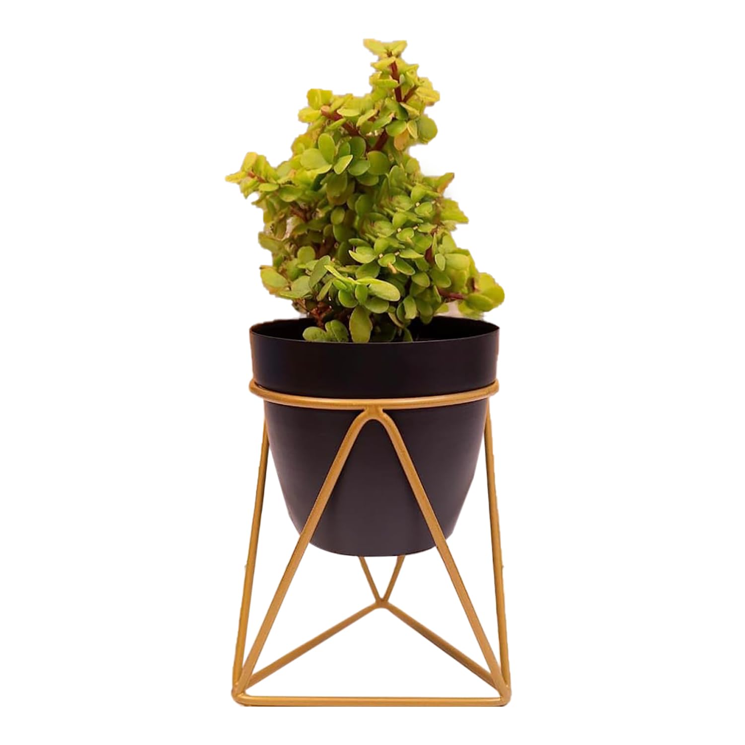 Kuber Industries Planter | Planter Pot Stand for Outdoor | Planter Stand for Garden | Plant Stand for Home | Gamla Stand for Home | Metal Indoor Pots with Drainage Hole | Set of 1 | Black (B0CTZF7PK3) Amazon Price History, Amazon Price Tracker