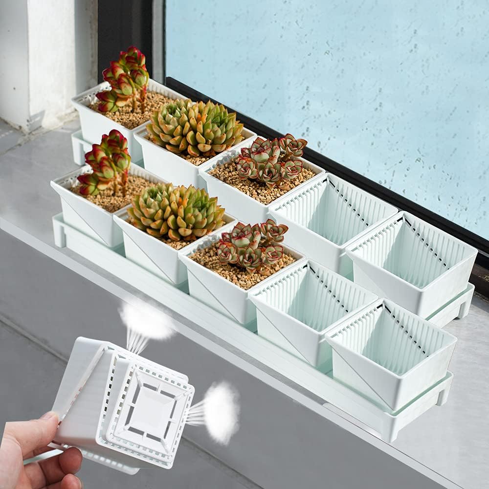 Breathable Succulent Pots with Air-Pruning,Succulent Planters Keep Home Tidy & Clean,Plastic 3 Inch Cactus Pots,Set of 2 Windowsill Planter