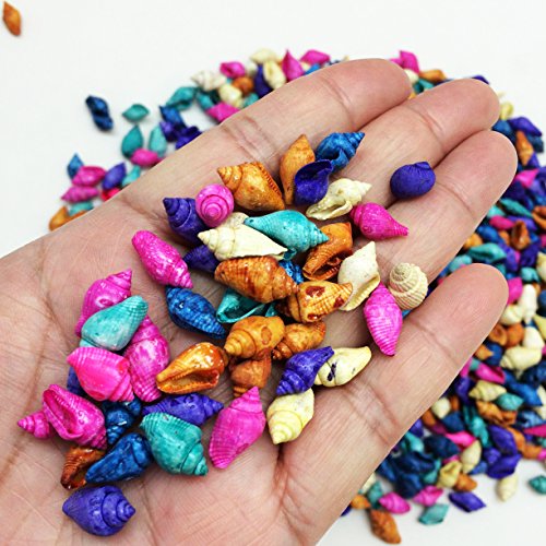 PEPPERLONELY Dyed Assorted Colors Nassa Sea Shells, 8 OZ Apprx.800+ PC Shells, 1/4~1/2 Inch - Thumbnail 2