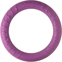 Jambo Pet, Brinquedo, Anel Strong Ring, Ideal Para Cães de Grande Porte, Espuma Expandida, Fácil de Morder e Reduz o Estresse, Resistente, Diversas Cores (Roxo)