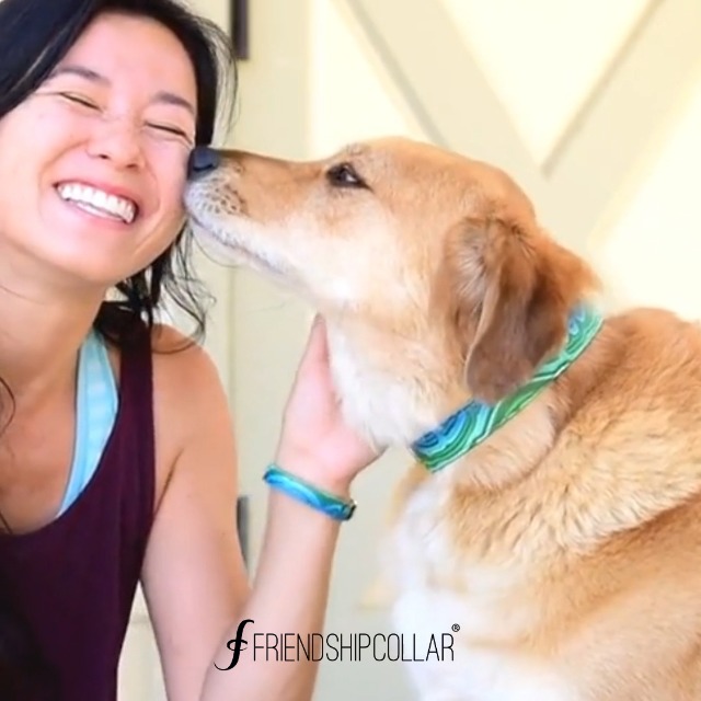 friendship collar amazon