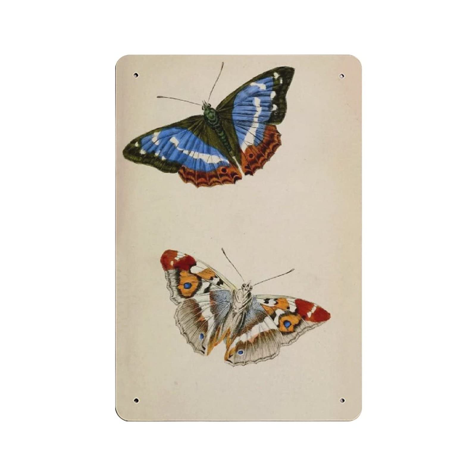 Metal Tin Sign Butterfly Vintage Tin Poster Metal Sign Wall Decoration Country Kitchen Home Garage Decor 12"x8"