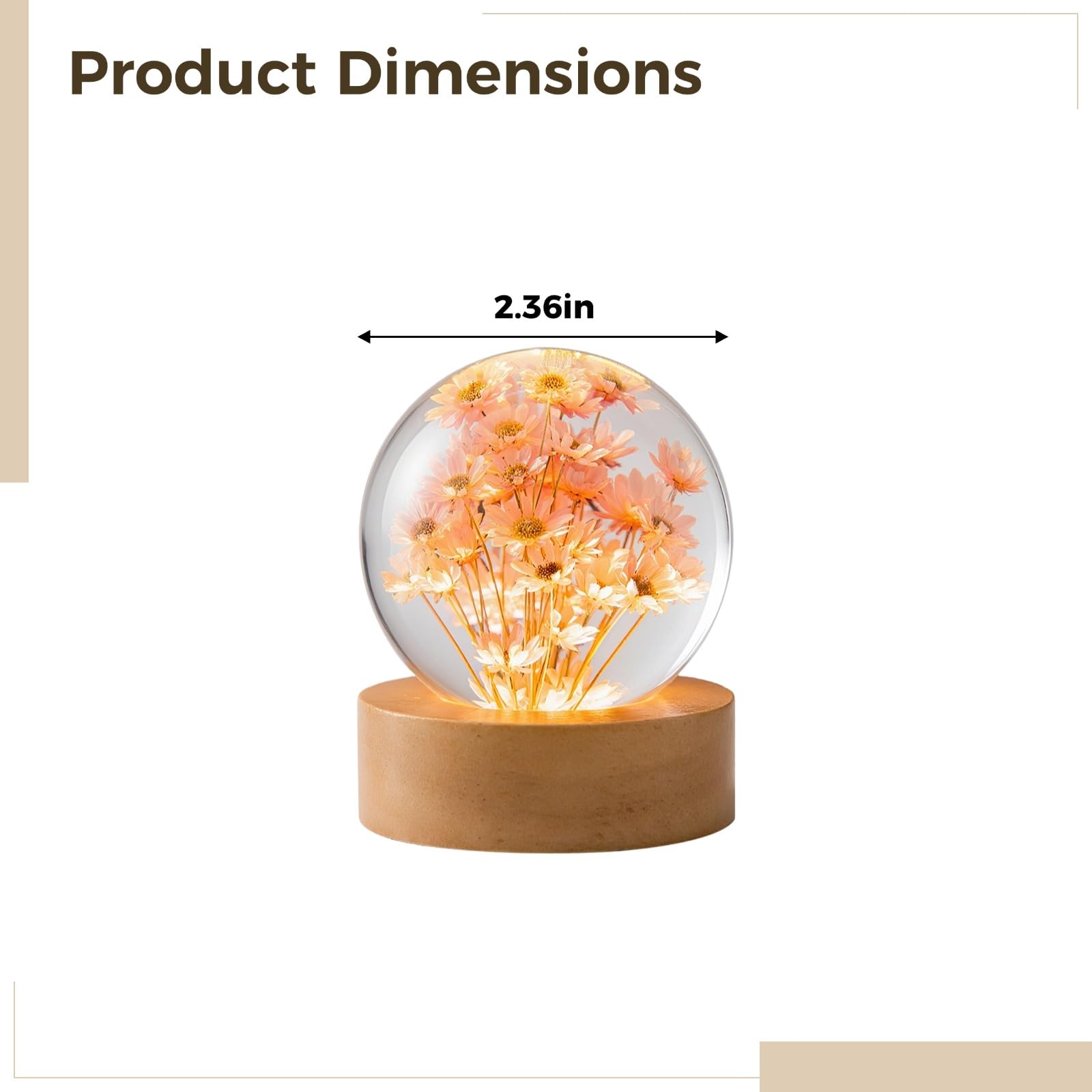 Luz nocturna de bola de cristal, lámpara de escritorio de flores preservadas grabada en 3D con diseño de diente de león y margaritas, luz LED cálida, decoración de mesita de noche alimentada por USB