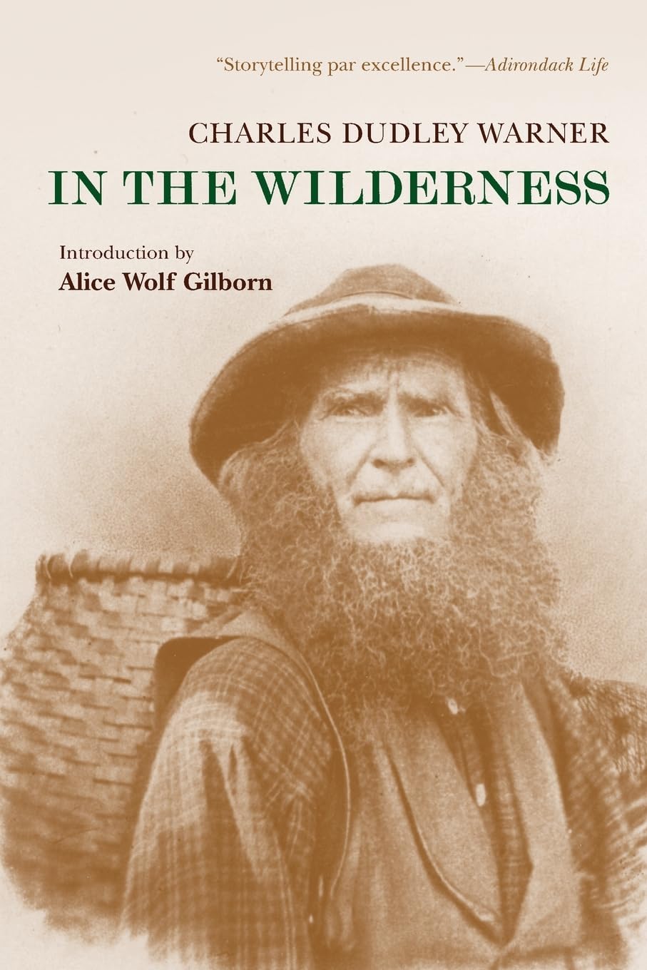 In the Wilderness (Adirondack Museum Books)