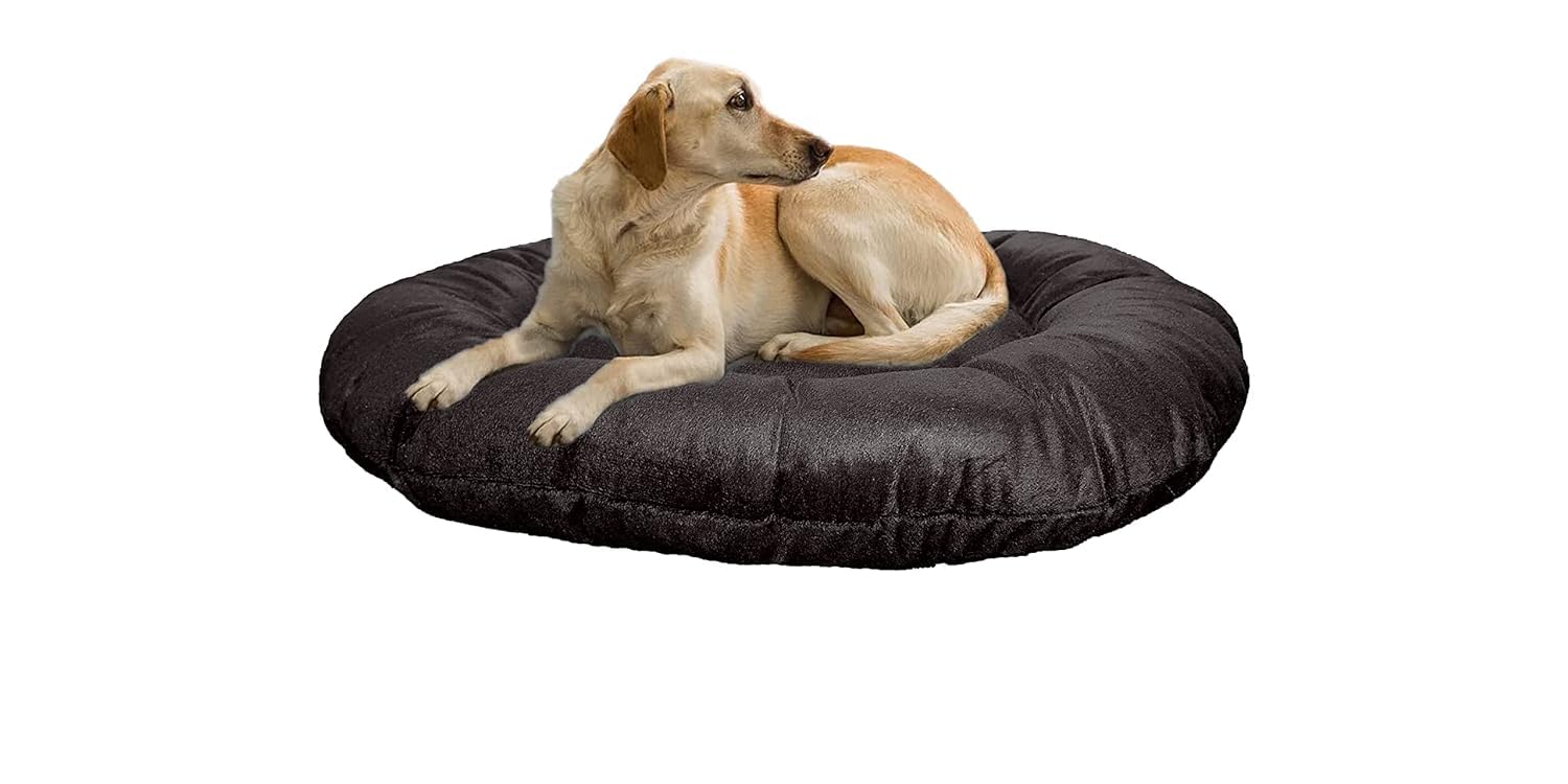 SKYMINT Reversible Dual Ultra Soft Velvet Black Color Luxury Sofa Bed PET Bed | Dog Bed | CAT Bed | Puppies Puppy Bed | Rabbit Bed (M) (B0D1R8DHVQ) Amazon Price History, Amazon Price Tracker