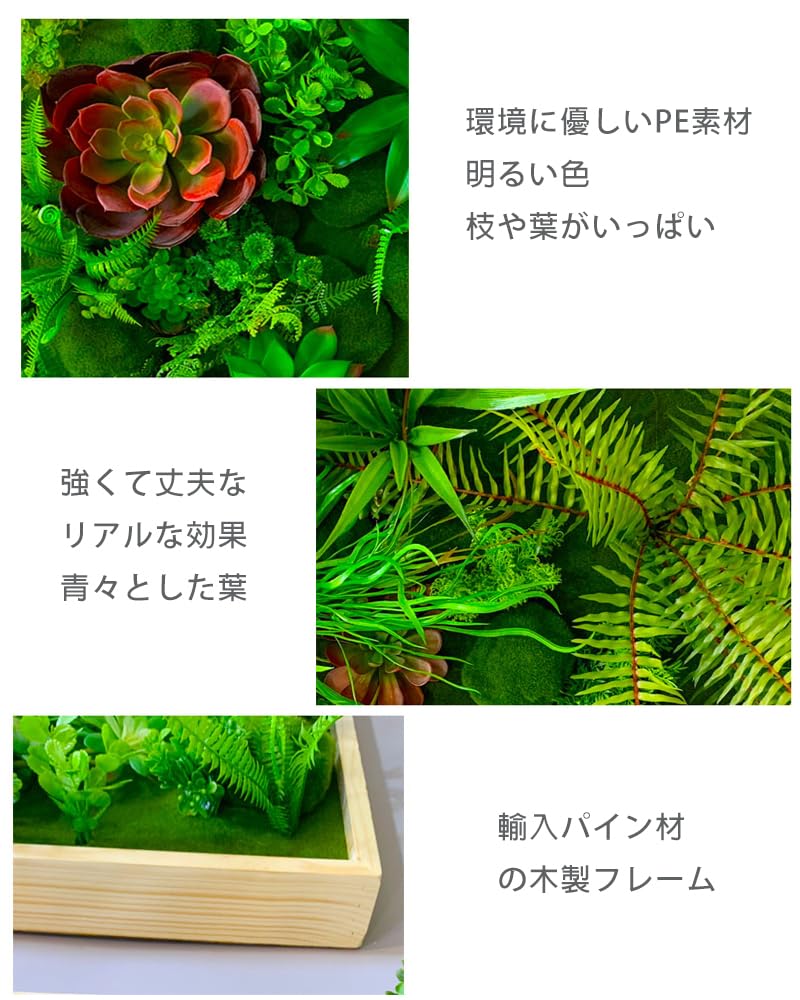 Amazon｜ECKEK 人工多肉植物 壁掛け 人工観葉植物 フェイクグリーン