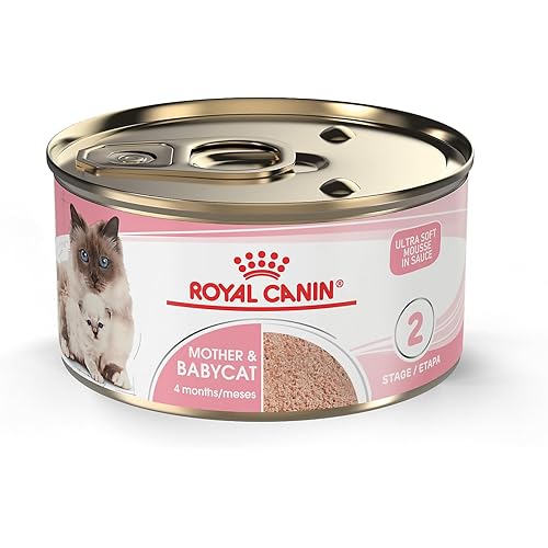 Royal Canin Feline Health Nutrition Mother & Babycat Queen Ultra Soft Mousse in Sauce Cat Food, 3 oz (Pack of 24)