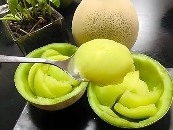 アンデスメロン ‼️プロフ必読‼️  Amazon.co.jp: メロンセット 完熟 高級 徳秀A ※野菜ソムリエ監修