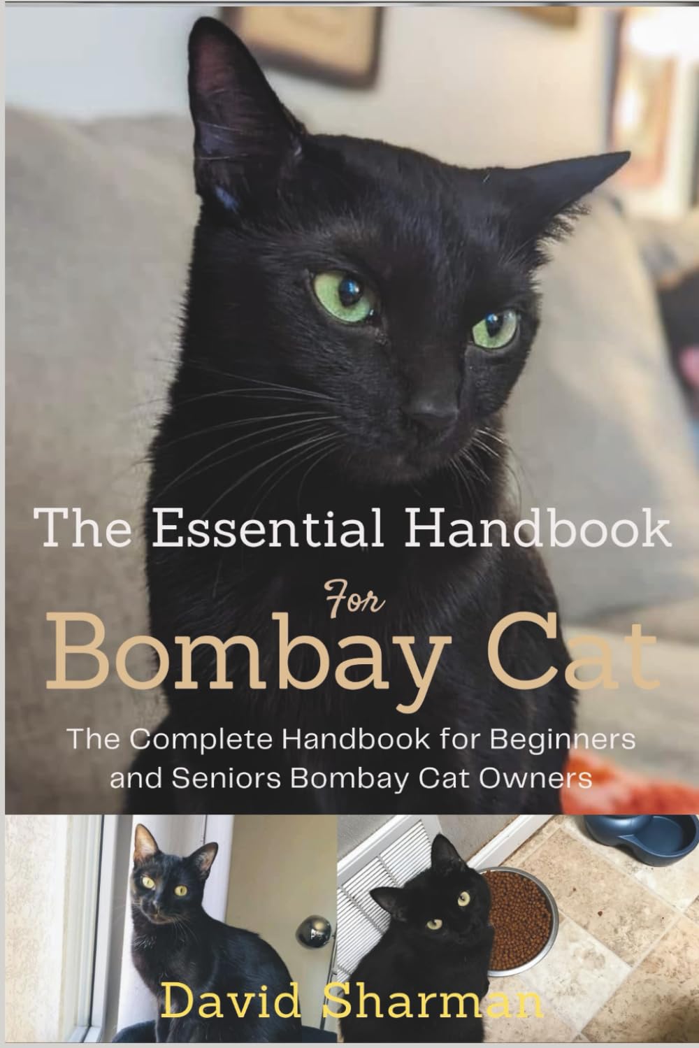 THE ESSENTIAL HANDBOOK FOR BOMBAY CAT: The Complete Handbook For Beginners And Seniors Bombay cat owners