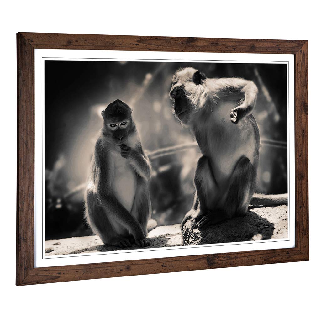Big Box Art Framed Print of Mountain Monkeys Design | Wall Art Picture | Home Decor for Kitchen, Living, Dining Room, Lounge, Bedroom, Hallway, Office, Walnut, A2 / 24.5x18 Inch / 62x45cm