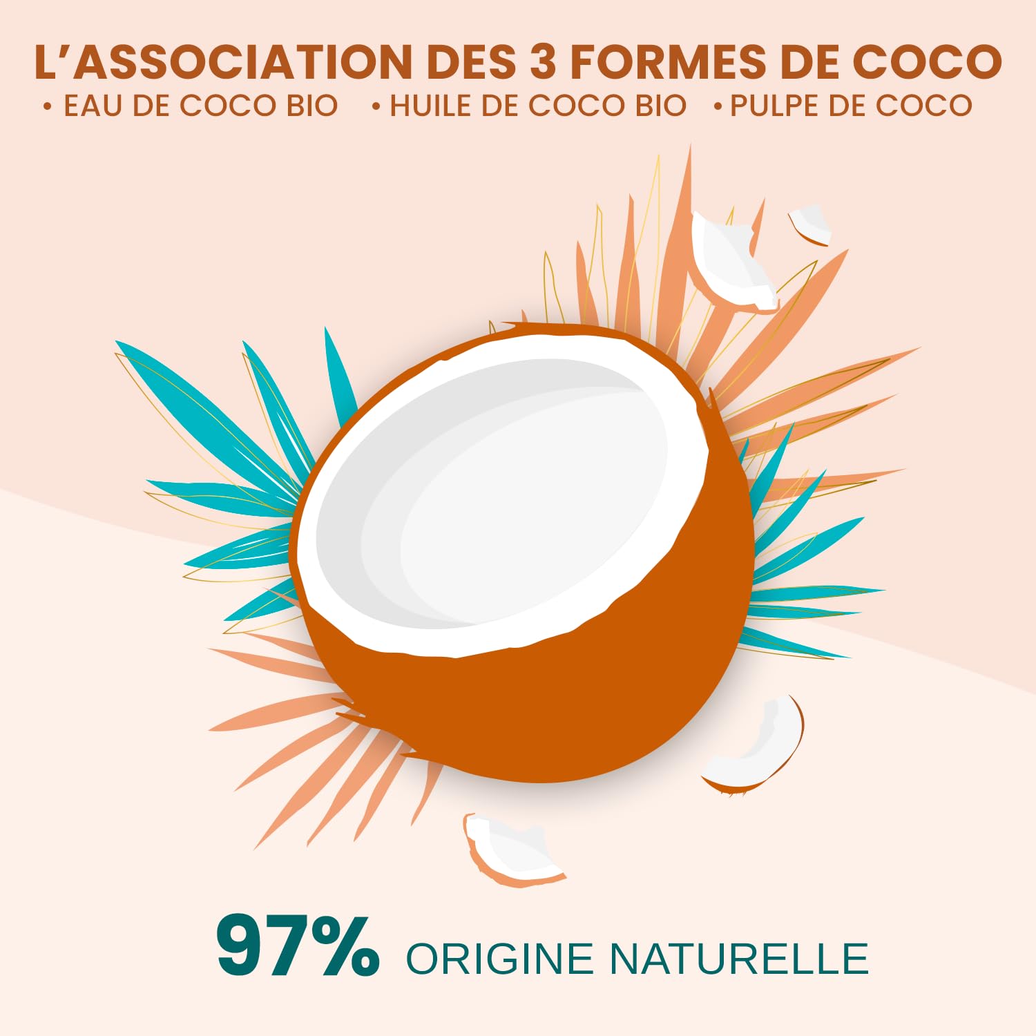 ACTIVILONG - Soin Exquis 3-En-1 Coco D'Amour - Cheveux Secs Et Texturés - Démêle Et Nourrit - 97% D'Ingrédients Naturels - Testé Et Approuvé Par Un Jury De Consommateurs - Made in France - 250ml