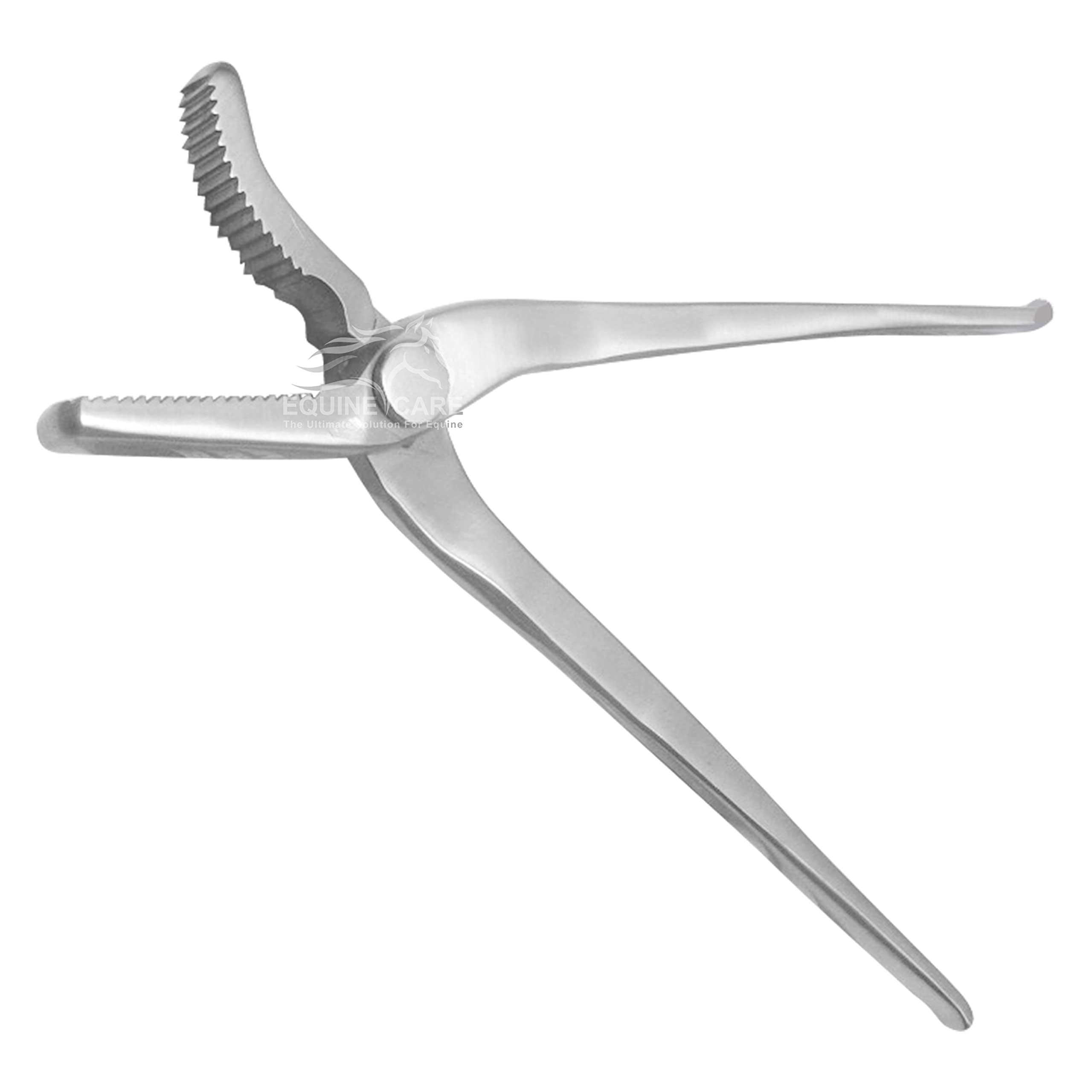 Equine Care12-Inch Alligator Hoof Clincher - Chrome Vanadium Steel Farrier Tool for Expert Horseshoeing & Perfect Hoof Trimming | Essential Farrier Supplies for Precision & Durability.