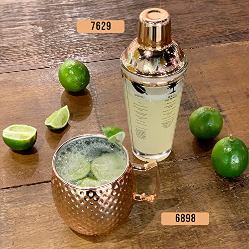 Lyor Coimbra Coqueteleira de Vidro com Tampa de Aço Inox, Transparente (Rosé), 420 ml