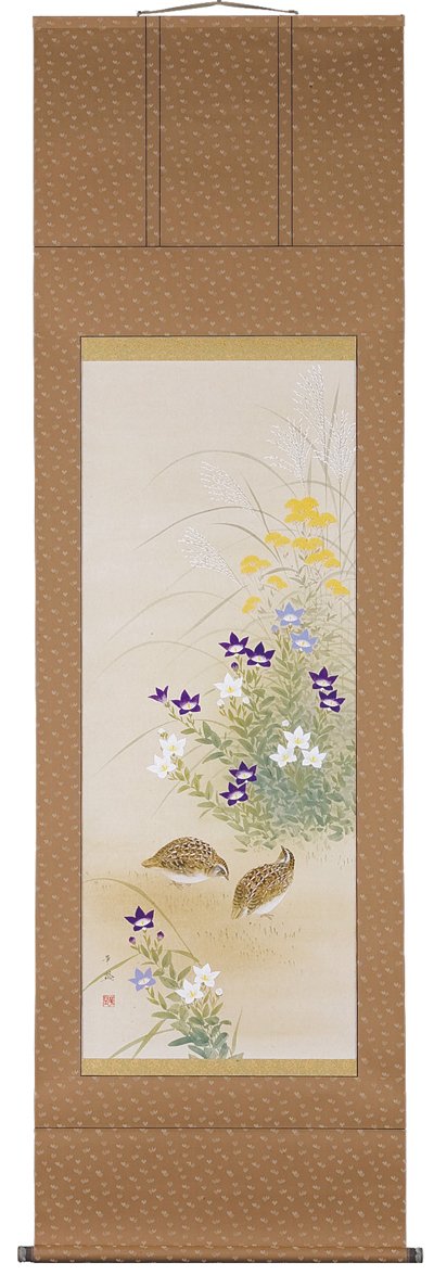 掛け軸 秋草に鶉 楽天市場】掛け軸 掛軸 秋草に鶉 あきくさにうずら 幅54.5×高さ