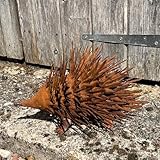 Alfie Francis 29cm (L) x 18cm (H) Rusty Hedgehog Garden Ornament/Statue Outdoor Metal Animal Sculpture Figurine - Image 5
