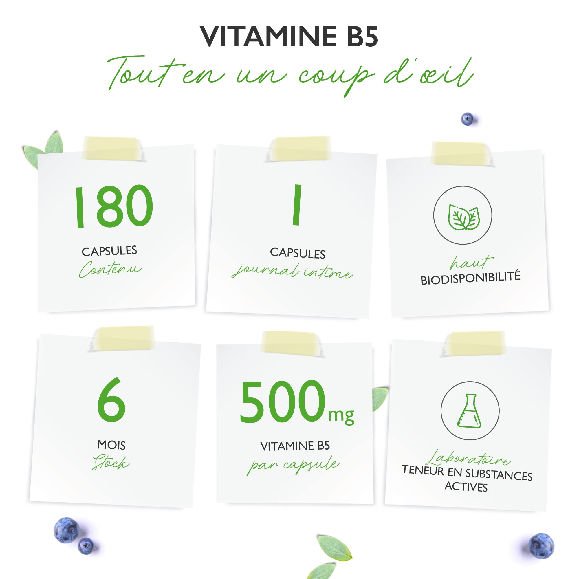 Vitamine B5 avec 500 mg - 180 Capsules - Acide pantothénique - Hautement dosé - Vegan - Vitamine B pour la peau et les nerfs