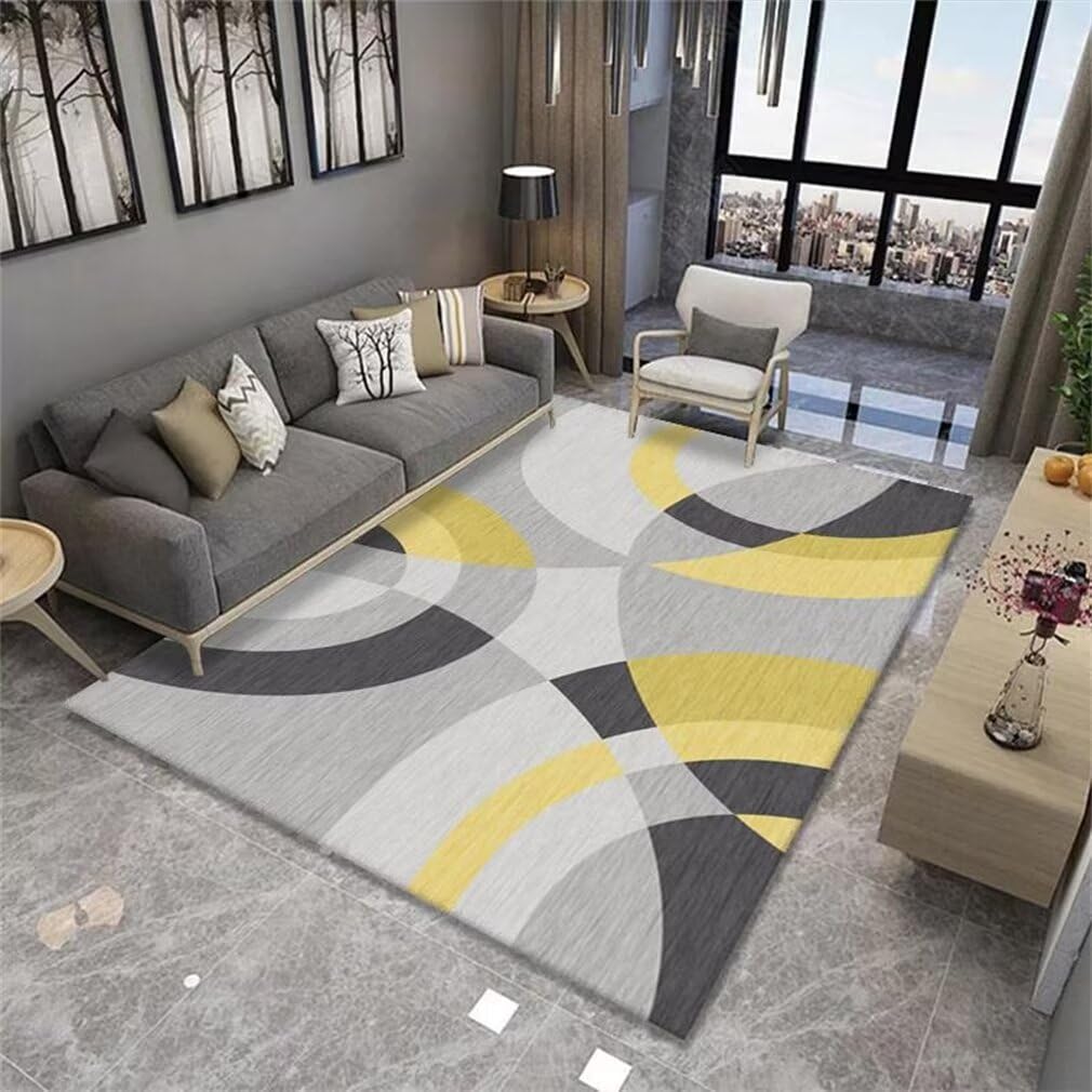 Tapis de salon et de chambre géométrique 120X200CM isolant et pliable