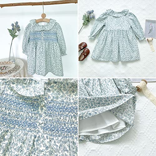 Curipeer Baby Girls Long Sleeve Floral Dress Flower Printed Smock Toddler Ruffle Dress For Autumn And Spring Blue 3T #TOP2