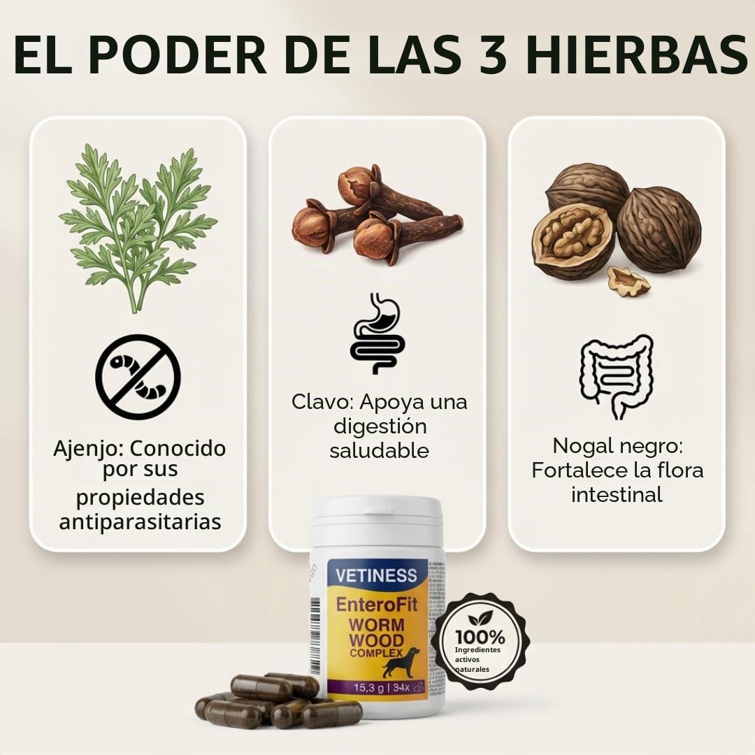 EnteroFit - Complejo de gusanos para perros – antigusanos secundarios – 34 cápsulas de ajenjo – alimento complementario para un ambiente intestinal antigusano – segrega las pastillas para