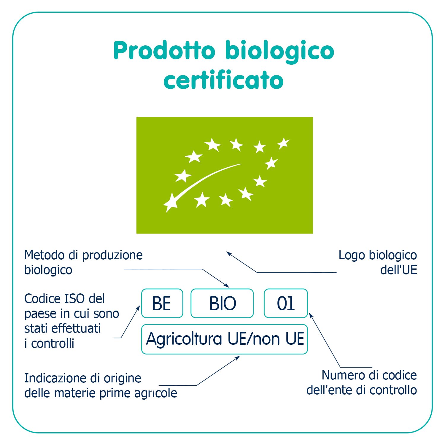 FLEUR ALPINE Biscotti Baby con Succo di Mela, 3x120g I Snack Alimento Completo per Bambini dai 6 Mesi in Su I Snack Fette Biscottate Integrali senza Zuccheri Aggiunti I 18x2 Biscotti
