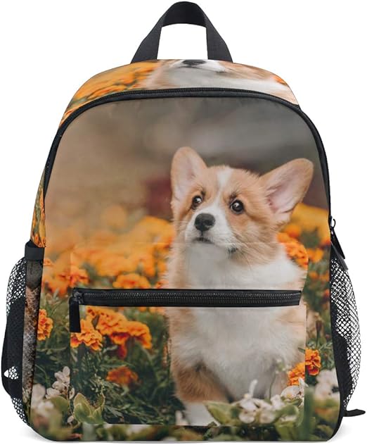 dog backpacks for school