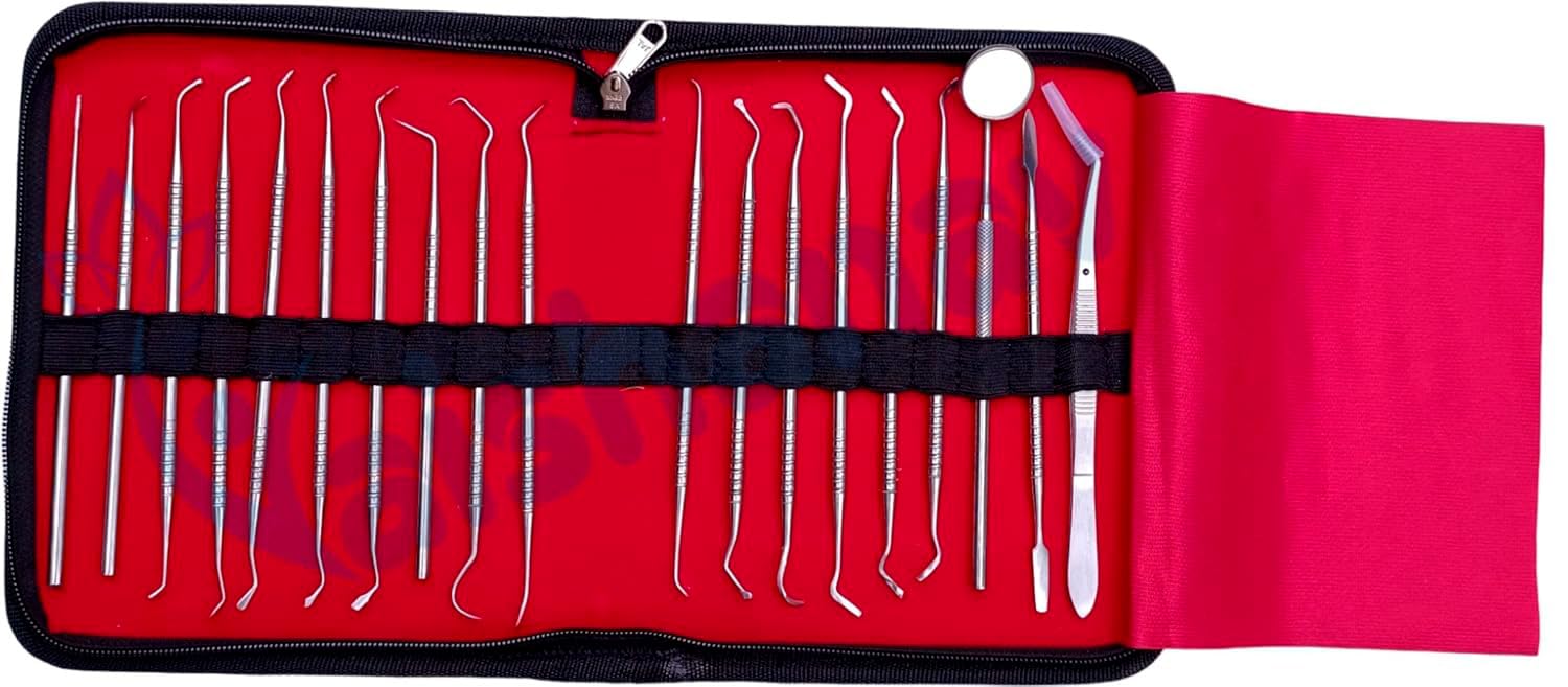 Vaishanav Premium Dental Conservative Instrument Kit - 19-Piece Set for precise dental procedures like cavity filling and root canal work-picture-23