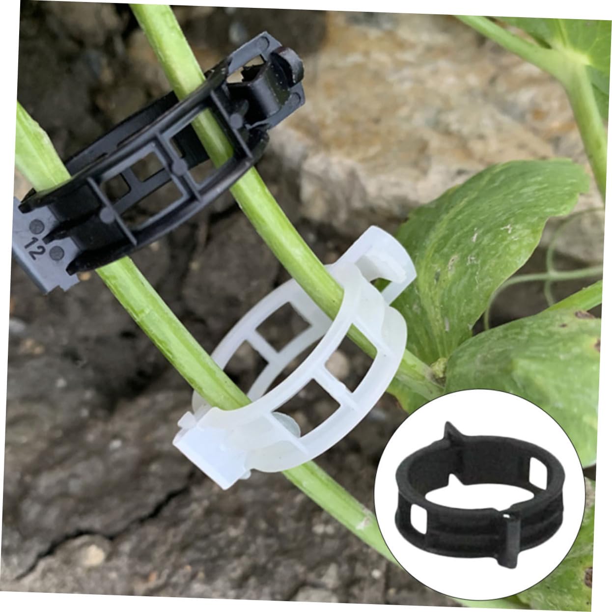 Abaodam 4 Sätze Pflanzenclips Gitter Pflanzenstützclips Im Freien Tomatenpflanzeunterstützung Blumenrankenclips Kletterpflanzen-Clip Gartenklemme Pp Black 100 Stück * 4