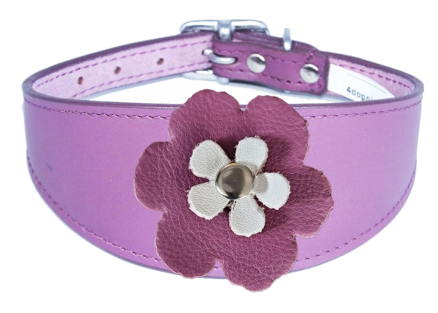 Flower Design Sighthound Leather Collar with Padded Backing for Whippet and Greyhound 2-7