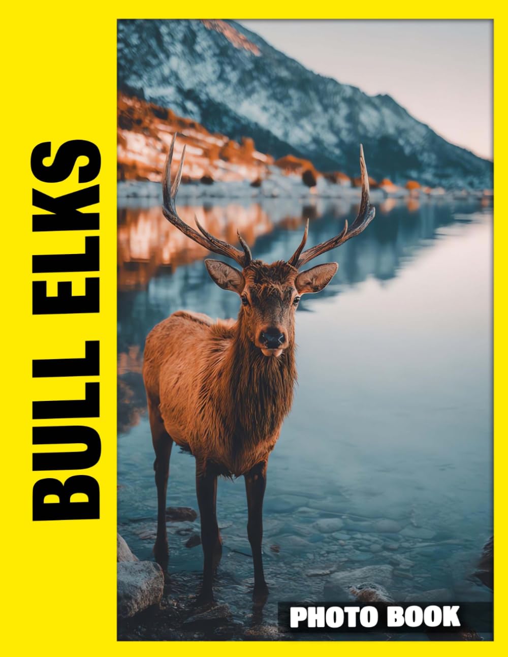 Bull Elks Photo Book: Majestic Forest Kings Captured In Stunning Photography With Impressive Antlers And Dominant Presence In Natural Wilderness Settings
