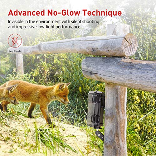 Victure Trail Game Camera 20MP 1080P Full HD with 940nm No Glow Night Vision Motion Activated IP66 Waterproof for Wildlife Watching and Home Security