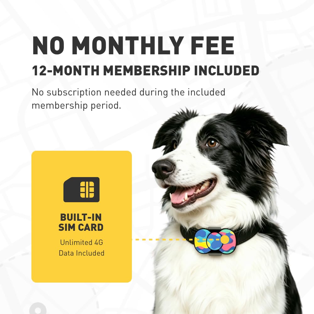 4G GPS Hunde-Tracker, 12 Monate inklusive, keine monatliche Gebühr, virtueller Zaun, IP67 wasserdicht, 21-Tage-Batterie