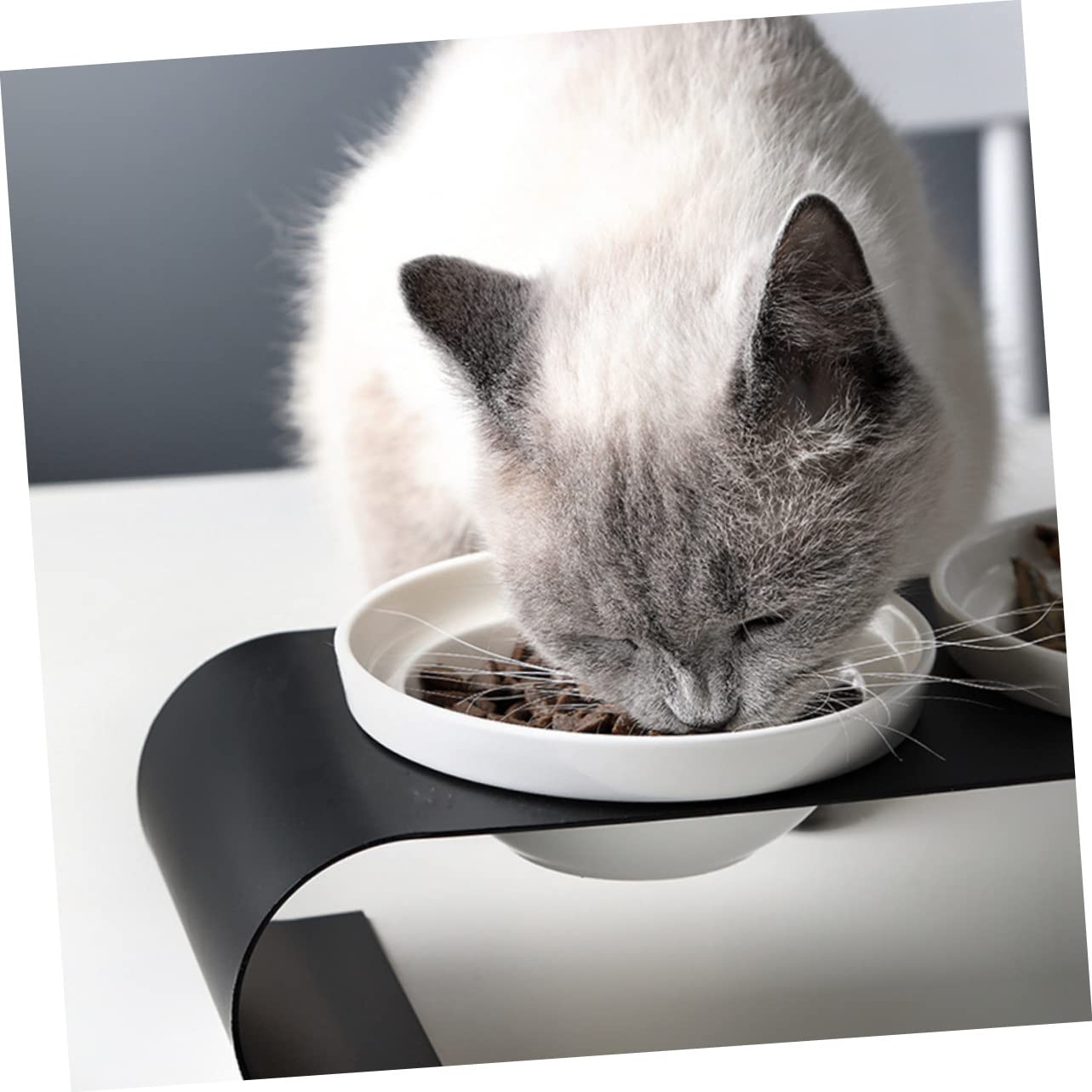 Toyvian Comedero para Mascotas De Comedero Doble Rejilla De Hierro para Gatos para De para Mascotas y Bebedero para Gatos