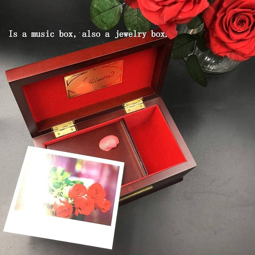 Amazon.co.jp: 18トーンのオルゴール、無垢材のジュエリーボックス