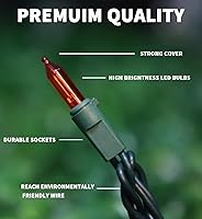 Vista 6 de LAMPHOME 100 luces LED rojas de San Valentín de 21.6 pies, luz conectable para habitación de San Valentín, enchufe para interiores, cable verde