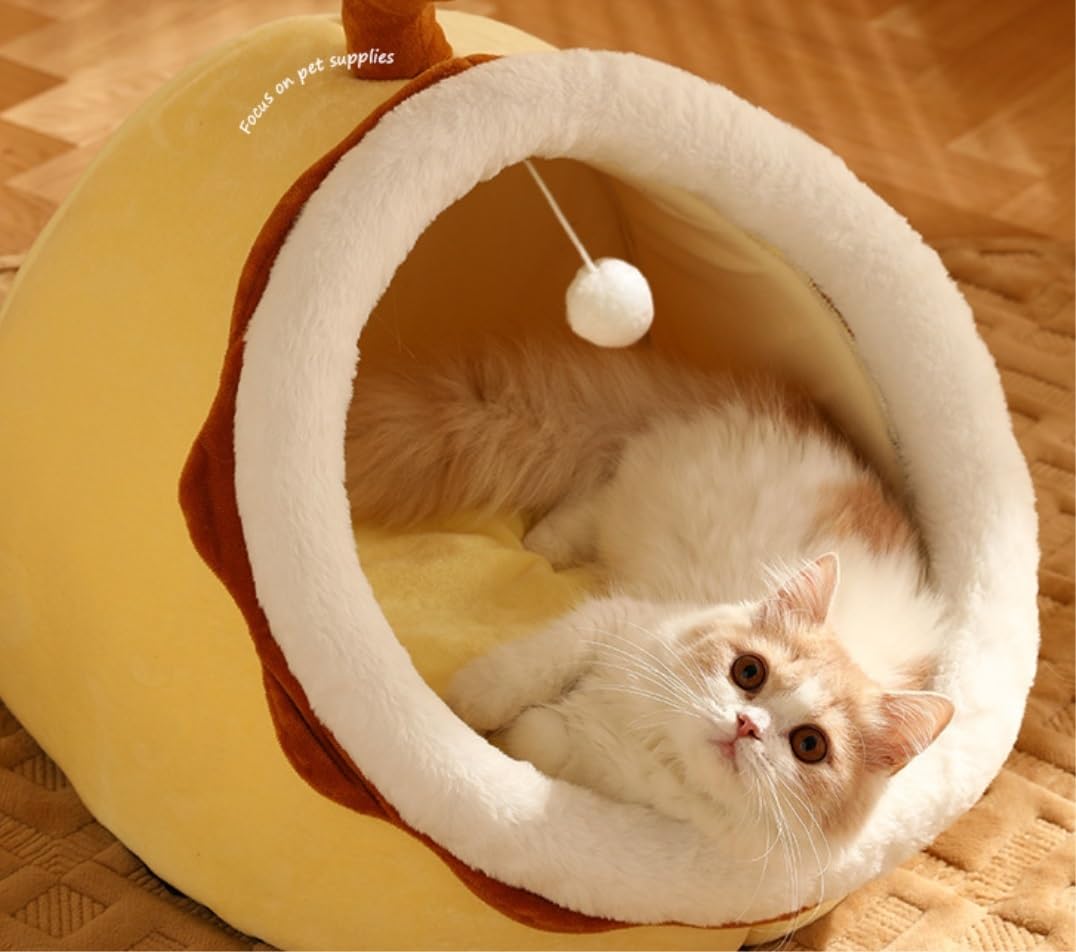 Cuccia gatto Calda Cuccia per gatti Cuccia per gatti Cuccia per gatti Cuccia per gatti Cuccia per gatti semichiusa con rimovibile Cuccia cane Morbida (Color : D, Size : 30 * 30 * 30cm)
