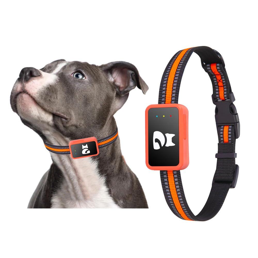 GPS-Tracker für Hunde und Katzen, wasserdicht, mit kostenloser App – Echtzeit-Tracking, Perimeter-Alarm, Verlaufsverlauf, funktioniert mit Nano-SIM-Karte 4G
