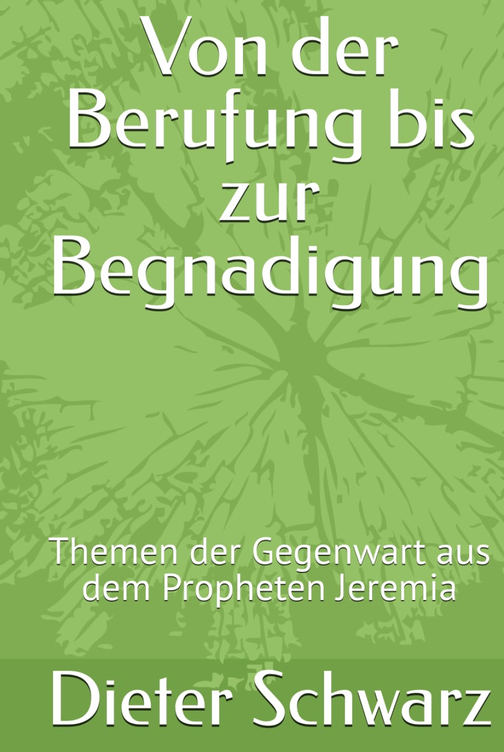 Von der Berufung bis zur Begnadigung: Themen der Gegenwart aus dem Propheten Jeremia
