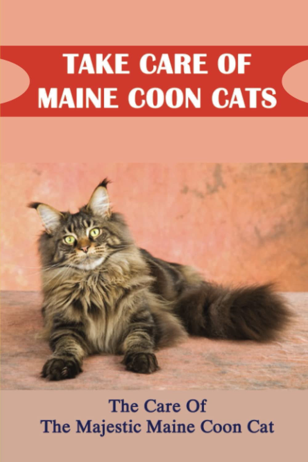 Buy Take Care Of Maine Coon Cats The Care Of The Majestic Maine Coon