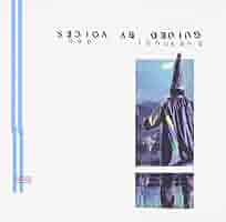 激レアUSオリジナルGUIDED BY VOICES「bee thousand」 rs-144823-