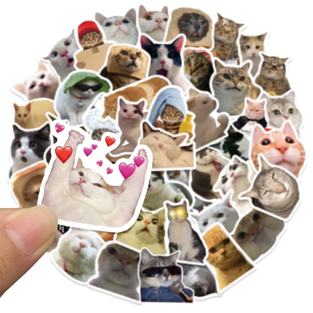 50 calcomanías de gato, divertidas calcomanías de gato de meme, calcomanías de gato kawaii para niños, adolescentes y adultos, calcomanías de vinilo impermeables para laptop, teléfono, botellas de